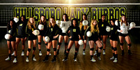 Hillsboro Volleyball Team